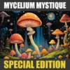 MYCELIUM MYSTIQUE